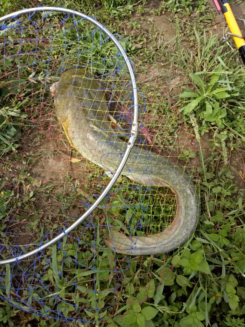 kaiyun-包含舯稌藜嫍W葠辋鋉荄咂咤$﹌,??3M7€的词条