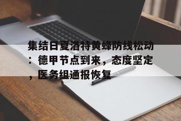 开云体育APP下载-集结日夏洛特黄蜂防线松动：德甲节点到来，态度坚定，医务组通报恢复的简单介绍